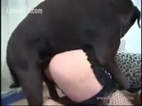 Big ass whore on a homemade dog sex